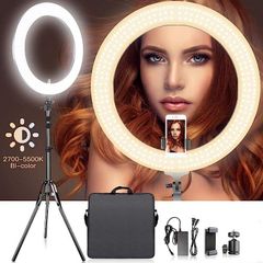 Item thumbnail for item a650f282-e339-43ec-9474-8abfd59e4c40