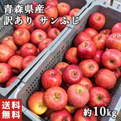 青森県産 サンふじ 訳あり りんご 約10kg
