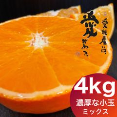 愛媛産　まどんな（紅まどんな同品種）　秀品＋家庭用ランク込み4kg