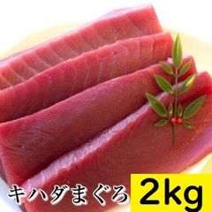 【須崎のマグロ問屋のおすすめ】大容量　キハダマグロ赤身　2㎏（鮪　まぐろ　黄肌鮪　大容量　小分けパック）