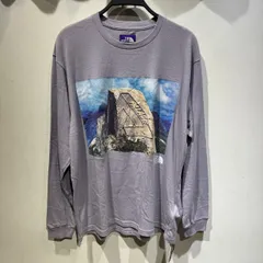 THE NORTH FACE PURPLE LABEL × PALACE 21ss L/S Graphic Tee Lサイズ NT3127N ザ ノースフェイス パープルレーベル パレス 長袖 ロンT 心斎橋店