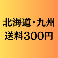 北海道・九州　送料専用ページ