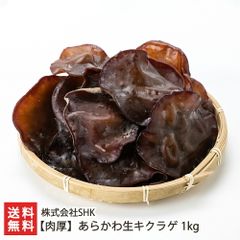 【肉厚】あらかわ生キクラゲ 1kg