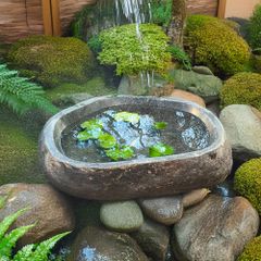 睡蓮鉢 石 大型 おしゃれ 庭 つくばい 手水鉢 蹲 水鉢 メダカ鉢 金魚鉢 水盤 鉢 坪庭 和風 ガーデニング XXL (T)