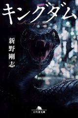 キングダム 47冊➕2冊【初版22冊、コミックニュース11冊】帯破れ有りの