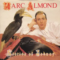 マーク・アーモンド　MARC ALMOND　ジョニーの物語　LP　レコード マーク・アーモンド MARC ALMOND ジョニーの物語 LP レコードの