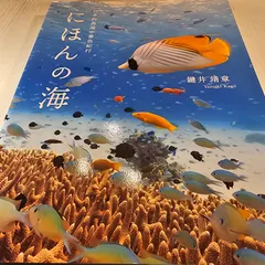 鍵井靖章パイインターナショナル絶版三部