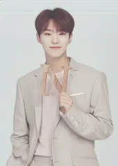 SEVENTEEN 2019 ODE to You IN JAPAN HOSHI トレーディングカード 109