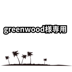 greenwood様専用【抜き苗】アガベ　サロモニー　Agave salomonii　2024-6-15-as5