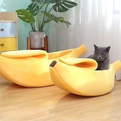 Item thumbnail for item f6d8621d-38d3-4a77-90e3-214269609765