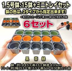平日＊日中注文即日発送-6セット＊1.5号鉢ミニプラ鉢：3色単色や混合選択(15鉢＋ミニトレイセット)×6セット＊多肉植物・塊根植物コーデックス・アガベ・サボテン・ハオルチア・アデニウム・パキポディウム・実生・種まき・さし芽・さし木＠フラワーショップ江口