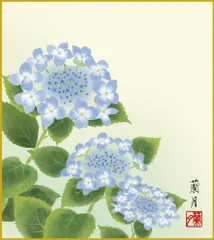 色紙  色紙掛けなし 色紙絵  和風 紫陽花  モダン 掛軸 床の間 和室 おしゃれ 壁掛け 絵