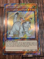 遊戯王　英語版　　レスキューキャット　プラチナシークレットレア