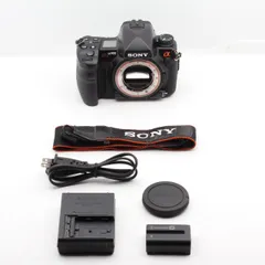 ゆきんこ様用】ソニーα900