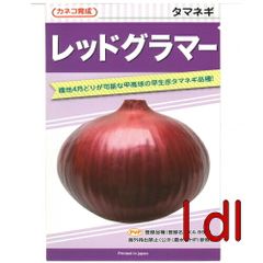 カネコ種苗　レッドグラマー　玉葱　１ｄｌ
