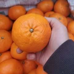 【愛媛県睦月島産】甘平 4Lサイズ3.5㎏