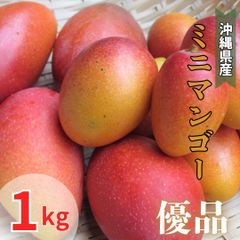 【予約商品】沖縄県産　ミニマンゴー　優品　1キロ　（6月末頃発送）