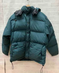 ★【THE NORTH FACE】ノースフェイス camp sierra short ダウンジャケットサイズM