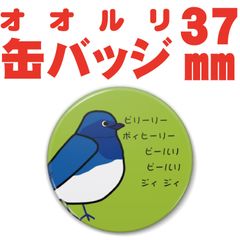 【野鳥シリーズ】クールな見た目の　オオルリさん缶バッジ　37mm