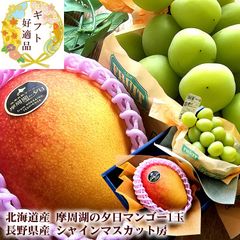 お中元 夏ギフト 完熟マンゴー 北海道のマンゴー シャインマスカット [ 摩周湖の夕日とシャイン ]