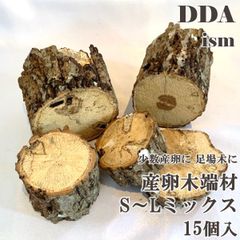 【DDA】希少3～5年物 ハウス産卵木 端材 S～Lミックス 15個入 dda クワガタ 産卵木 クヌギ コナラ 足場木