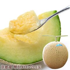 お取り寄せ メロン お中元 暑中お見舞い 残暑お見舞い 琴引きメロン フルーツギフト 夏の贈り物 夏ギフト お世話になった方へ贈り物 フルーツギフト 本当は秘密にしておきたい裏京都のグルメな逸品 [琴引メロン１玉] 京のブランド産品 7月上旬より出荷開始