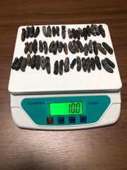 工場直売関西産A級品 乾燥なまこSSS 100g50匹 (計量時100g54本)