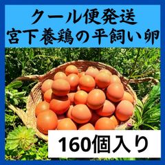 160個入り 宮下養鶏の朝採れ平飼い卵-