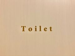 ドアカッティングステッカー　Toilet