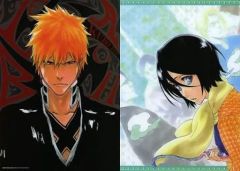 BLEACH ブリーチ 朽木ルキア 黒崎一護 下敷き ジャンプ JF - メルカリ