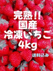 天の恵 - メルカリShops