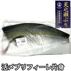 天之瀬 ブリフィーレ 半身（冷蔵便）ぶり 鰤 刺身 しゃぶしゃぶ 生