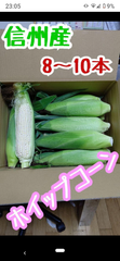 クール便対応 長野県産 生食可！  ホイップコーン とうもろこし 10本