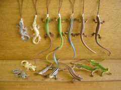 MIHO　モールのカマキリ、ニホントカゲ、カナヘビ、ヤモール When you show a lizard the world's largest praying mantis