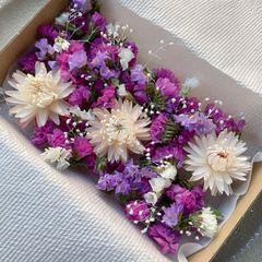 スターチス　かすみ草　貝細工　ドライフラワー　花材詰め合わせ No.5