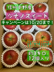 りんご　シナノスイート小玉　約3キロ(12個)