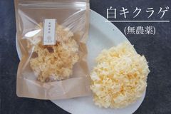 薬膳食材【白きくらげ／無農薬・海外有機認証】