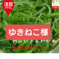 三陸岩手産剣山引き茎わかめ②