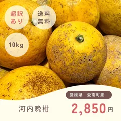 愛媛県産河内晩柑3級品のサムネイル