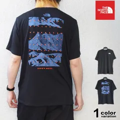 海外限定モデル ザ ノースフェイス THE NORTH FACE Tシャツ 半袖 速乾 バックプリント ロゴ EUライン nf0a8bqw