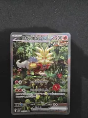 2025年最新】ウガツホムラex sarの人気アイテム - メルカリ