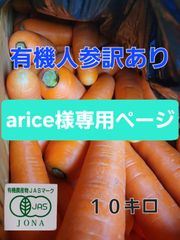 arice様専用ページ　有機人参訳あり１０キロ
