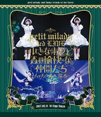 コンサートパンフレット(B4サイズ)/ petit milady 1st Live