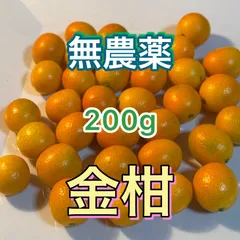 自然栽培　金柑（ありがきんかん） 約200g 　 甘味が多く、皮ごと丸かじりもOK！（フォローして購入すると、自動で100円引き！残りわずか）のサムネイル