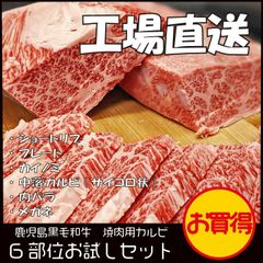 【A5】鹿児島黒牛 焼肉用カルビ 6部位お試しセット 600g 黒毛和牛 高級