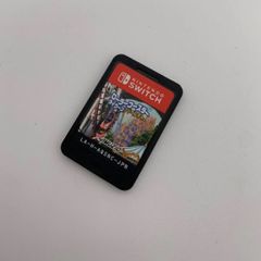 ニンテンドー Switch用ゲームソフト ローラーコースタータイクーン・アドベンチャー 0417-502