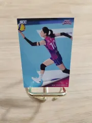 直筆サイン入り写真 キム・ヨンギョン バレーボール/フレームなし/SA鑑定済 Amazon.co.jp: バレーボール女子キム ヨンギョン選手直筆サイン入り