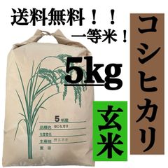 玄米　5kg コシヒカリ　新米　埼玉県産　令和5年産　送料無料　米　5キロ
