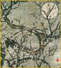 色紙  色紙掛けなし 色紙絵  和風 梅花皓月図 伊藤若冲 モダン 掛軸 床の間 和室 おしゃれ 壁掛け 絵