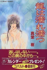 四龍島シリーズ 文庫 1-33巻セット （コバルト文庫）（文庫） 全巻セット 四龍島シリーズ 文庫 1-33巻セット （コバルト文庫）（文庫